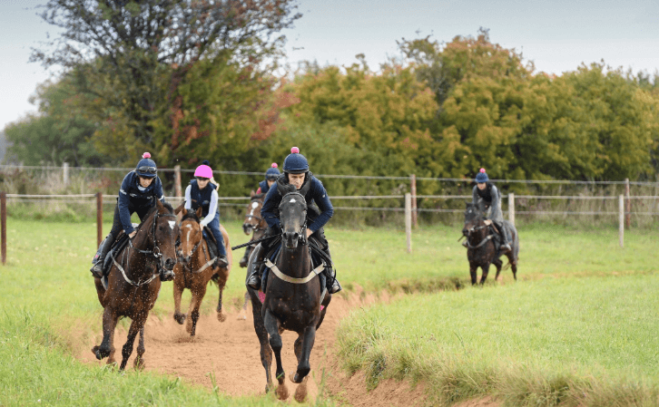 The Role of Horse Racing Trainers in Preparing Horses